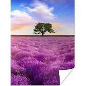 PosterMonkey Poster Lavendel - Boom - Zonsondergang - Paars - 30x40 cm