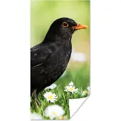 PosterMonkey Poster Vogel - Merel - Bloemen - 80x160 cm