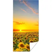 PosterMonkey Poster Bloemen - Zonnebloem - Zonsondergang - Nacht - Oranje - 40x80 cm