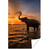 PosterMonkey Poster Olifant - Zee - Dieren - Zonsondergang - Oranje - 80x120 cm