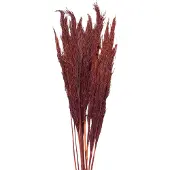 Clayre & Eef Droogbloemen 100 cm Rood Droogbloemen