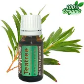 Pure Naturals Etherische Olie Tea-tree 10ml
