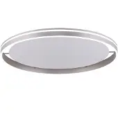 Paul Neuhaus Plafondlamp Q-VITO staal 79cm