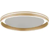 Paul Neuhaus Plafondlamp Q-Vito Mat Messing 59cm