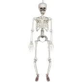 Boland Hangdecoratie Skelet 90cm | Halloween deco (naturel)