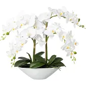 Kopu kunstbloem orchidee 53 cm met schaal ovaal phalenopsis
