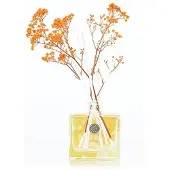 Ashleigh & Burwood Orange Blossom & Mandarin Geurstokje oranje-L6B10,5H28CM