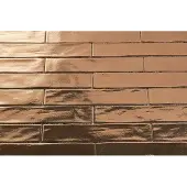 DTG Oud Hollands mozaïek wandtegel 5x25 goud