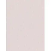 Papicolor Kopieerpapier A4 100gr 12 vel lichtroze - 4 stuks