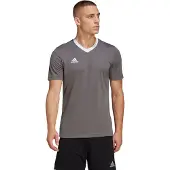 Adidas Functioneel shirt 'Entrada 22' lichtgrijs / wit
