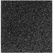 Terre d'Azur Terre d´Azur Granito terrazzo vloertegel milaan 40x40 gerectificeerd