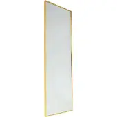 Fragix Wandspiegel Fragix | Fragix metaal goudkleurig 120x40x3 cm wandspiegels | NADUVI