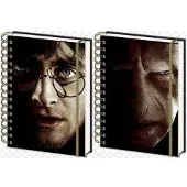 Hole in the Wall Harry Potter Harry & Voldemort 3D Cover- A5 3D Lenticular Notitieboek