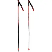Rossignol Hero Gs-sg Stokken