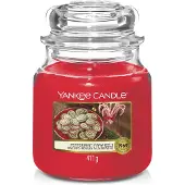 Yankee candle Geurstokjes Geurkaarsen Peppermint Pinwheels Classic Large Glass