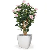 Maxifleur Kunstplanten Hibiscus Deluxe rose 100cm