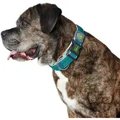 Hunter Pet Plus Thread Hondenhalsband