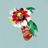 Pias Maribou State - Kingdoms In Colour (LP)