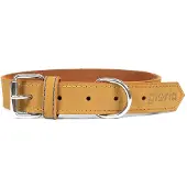 Gloria Oasis Hondenhalsband
