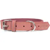 Gloria Oasis Hondenhalsband
