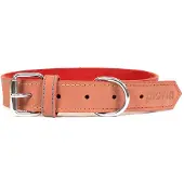 Gloria Oasis Hondenhalsband