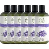 Petal Fresh - Shampoo Lavender - 6 Pak - voordeelverpakking