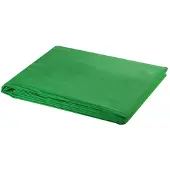vidaXL Achtergrond zonder standaard chromakey 600x300 cm katoen groen
