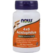 Now Acidophilus probioticum 60 caps 4141