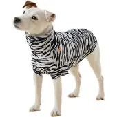 PAIKKA Honden Shirt maat 50