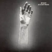 Konkurrent The Afghan Whigs - Up In It (LP)