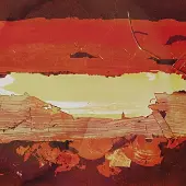 Konkurrent Wolf People - Steeple (LP)