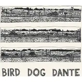 Konkurrent John Parish - Bird Dog Dante (LP)