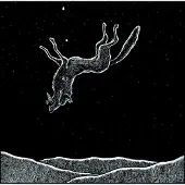 Konkurrent Wolfmangler - Dwelling In A Dead Raven For The Glory Of Crucified Wolves (2 LP)