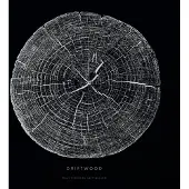 Konkurrent Driftwood - Only Fighters Left Behind (2 LP)