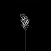 Konkurrent Wetware - Flail (LP)