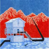 Konkurrent Le Millipede - Le Millipede (CD)
