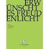 OUTHERE Erwünschtes Freudenlicht