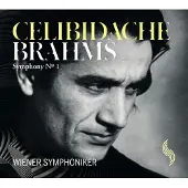 OUTHERE Wiener Symphoniker, Sergiu Celibidache - Symphony No.1 (CD)