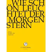 OUTHERE Wie Schön Leuchtet Der Morgen