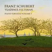 OUTHERE Vladimir Feltsman - Schubert: Piano Sonatas Volume 5 (2 CD)