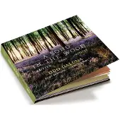 OUTHERE Duo Dalùna - A Song In The Wood (CD)