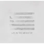 Konkurrent Aisha Burns - Life In The Midwater (LP)
