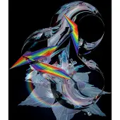 Konkurrent Björk - The Gate (12" Single) (Limited Edition)
