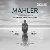 OUTHERE David Briggs & David John Pike - Mahler: Orchestral Songs (The Organ Transcriptions) (CD)