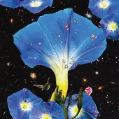 Konkurrent Sarah Louise - Nighttime Birds And Morning Stars (LP)