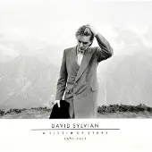 Universal Music David Sylvian - A Victim Of Stars 1982 - 2012 (2 CD)