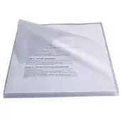 Esselte Pvc 250 Microns Dossier Folder 50 Units Transparant Kinderen