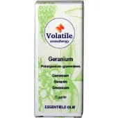 Volatile Geranium maroc