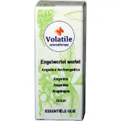 Volatile Engelwortel
