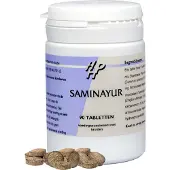 Holisan Saminayur